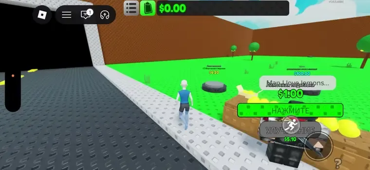 First loop: selling lemons, money flying out