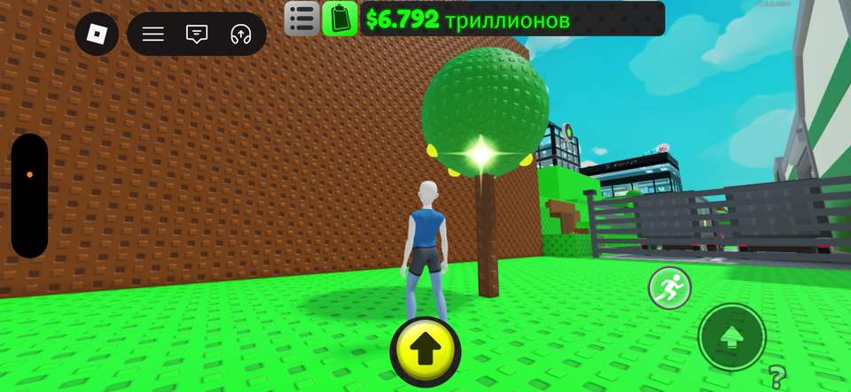 Orchard with lemons