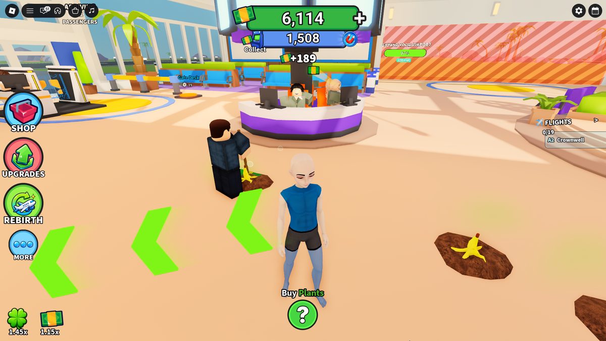 Janitor